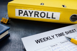 Harding Group Payroll Basics in Maryland
